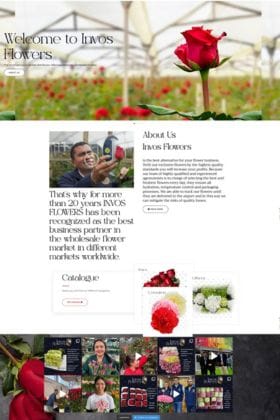 Sitio web B2B de Invos Flowers, exportación de flores colombianas, por ZOF Creativos